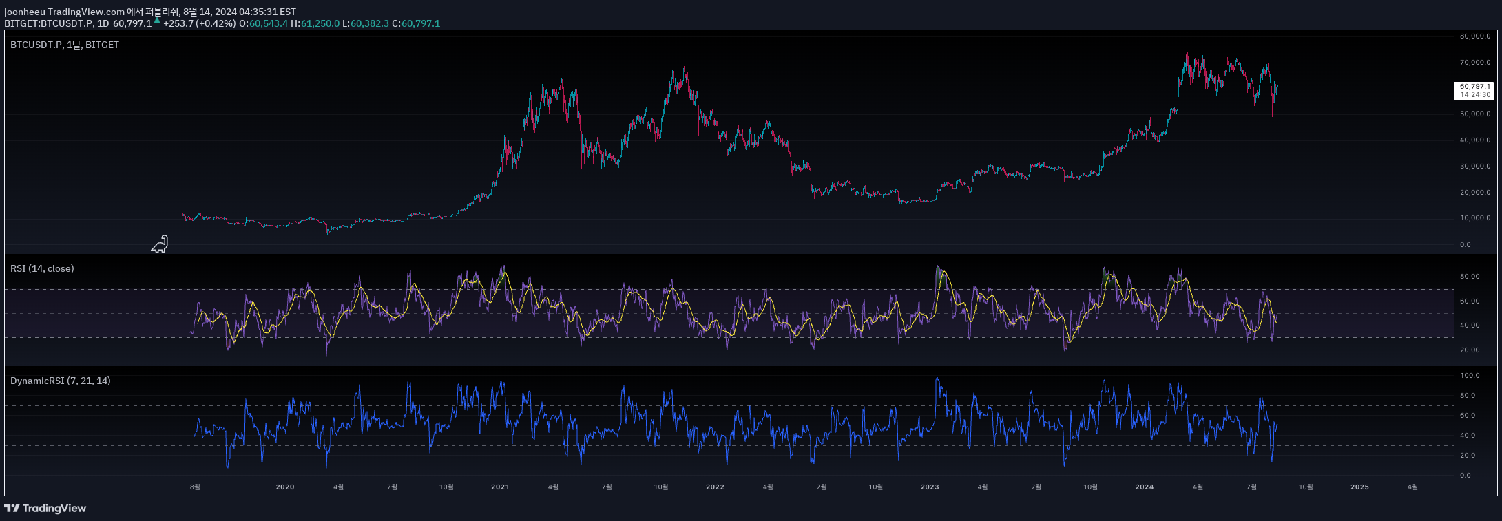 DynamicRSI 主图